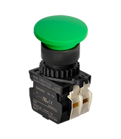 Illuminated Type Control Switch (S2BR-P1GA2B)