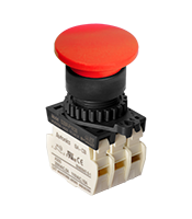 Illuminated Type Control Switch (S2BR-P1R3B)