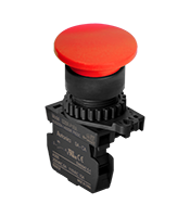 Illuminated Type Control Switch (S2BR-P1RA)