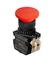 Illuminated Type Control Switch (S2BR-P1RA2B)