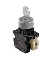 Key Selector Control Switch (S2KR-4CKABM)
