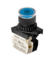 Non-Flush Control Switch (S2PR-P3BBL)