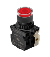 Non-Flush Control Switch (S2PR-P3RABD)