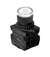 Non-Flush Control Switch (S2PR-P3W2AL)
