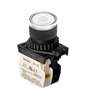 Non-Flush Control Switch (S2PR-P3WBL)
