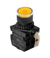 Non-Flush Control Switch (S2PR-P3YABL)