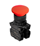 Illuminated Type Control Switch (S2BR-P1R2A)