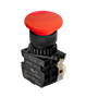 Illuminated Type Control Switch (S2BR-P1R2AB)