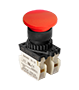 Illuminated Type Control Switch (S2BR-P1R2B)