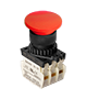 Illuminated Type Control Switch (S2BR-P1R3B)