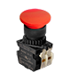 Illuminated Type Control Switch (S2BR-P1RA2B)