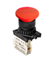 Illuminated Type Control Switch (S2BR-P1RB)