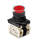 Non-Flush Control Switch (S2PR-P3R2BD)