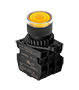 Non-Flush Control Switch (S2PR-P3Y2AL)
