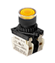 Non-Flush Control Switch (S2PR-P3Y2BD)