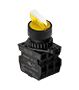 Multi Position Lever Button Control Switch (S2SR-S4R2B)