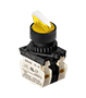 Multi Position Lever Button Control Switch (S2SRN-L7GABLM)