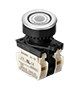 Flush Type Control Switch (S3PF-P3W2BL)