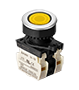 Flush Type Control Switch (S3PF-P3Y2BL)